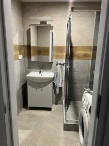 スタラー・リュボフニャにあるApartmán Mierováの洗面台と洗濯機を備えたバスルーム