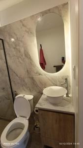 ein Badezimmer mit Toilette, Waschbecken und Spiegel in der Unterkunft Entre Ríos y Brown in Mar del Plata