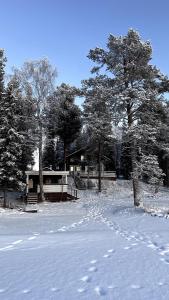 a snow covered yard with a house and trees at Cozy Arctic Lakeside Cottage with private sauna in Pello
