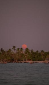 an orange moon rising over a beach with palm trees at Kayma Beach in Guriú +1 photo