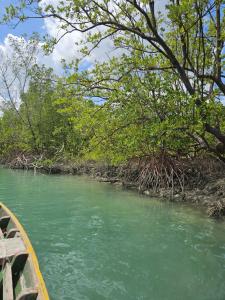 a boat on a river with green water and trees at Kayma Beach in Guriú