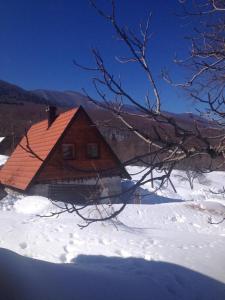 una baita di tronchi con neve a terra di Stone House 1866 