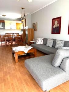 Χώρος καθιστικού στο Biancas apartment in the center of Tirana