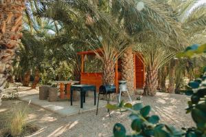 ein Haus mit einem Tisch, einem Grill und Palmen in der Unterkunft Pal Maya in Tozeur