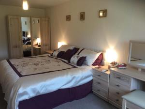 a bedroom with a bed with a dresser and a mirror at Pen-y-Bont Guest House in Amroth