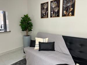 a room with a couch with two pillows and a plant at Impera House Apt Térreo bairro Santa Inês in Imperatriz +23 photos