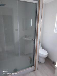 a glass shower in a bathroom with a toilet at Cabañas 1 Olimai in Puerto Natales