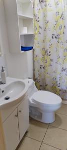 a bathroom with a toilet and a sink and a mirror at Cabañas 1 Olimai in Puerto Natales +30 photos