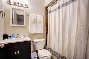a bathroom with a toilet and a sink and a shower at Parking Pets Private Entrance Near Med Center in West Allis