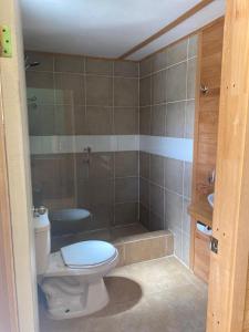 a bathroom with a toilet and a shower and a sink at Posada de Expediciones Kahuel in Chaitén +39 photos