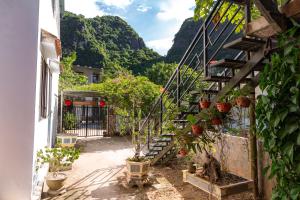 a stairway with potted plants on the side of a building at Phong Nha Family Homestay in Phong Nha