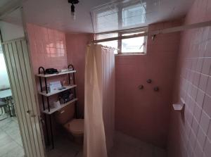 a pink bathroom with a shower and a toilet at Casa de los abuelos in Cholula +33 photos