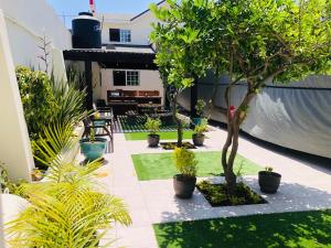 a garden with potted plants and trees on a patio at Casa Encanto Ensenada Three Bed Two Bath in Ensenada
