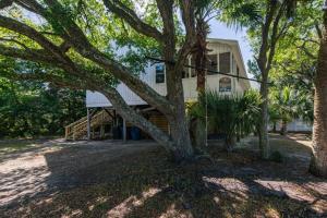 a house with a tree in front of it at Edisto Echo in Edisto Beach