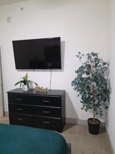 リチャードソンにあるOur Cozy homeのテレビと鉢植えが置かれた黒いドレッサー