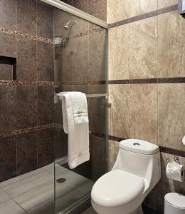ein Badezimmer mit Toilette und Glasdusche in der Unterkunft Refugio Huasteco Hotel Boutique in Tamasopo