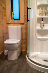 un baño con inodoro y ducha en Sleep under the stars at Manuka Starlight, en Twizel