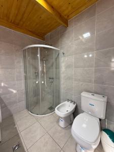 Un baño con ducha, inodoro y lavabo. en La Casita Cosquín, en Cosquín 10 fotos más