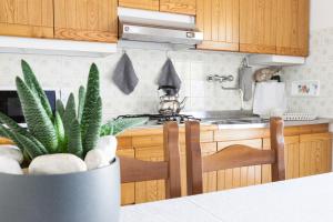 a kitchen with wooden cabinets and a potted plant at Villa dei Fiori Apartments in Cervia