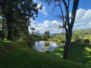 a pond in the middle of a field with trees at Casa Principal in Itapeva