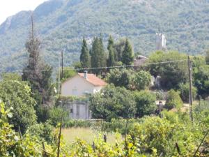 威尔帕扎Guesthouse Feel Lake的山地房子