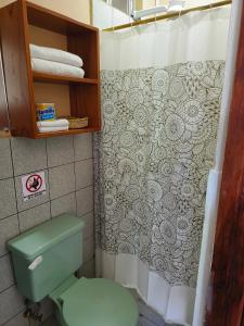 a bathroom with a green toilet and a shower curtain at Teresita's House suites familiares in Puerto Baquerizo Moreno