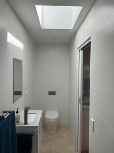 a bathroom with a toilet and a sink and a skylight at Studio granny flat in Sydney
