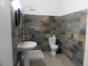 un baño con lavabo e inodoro en SUCRIER's PARADISE, en Sainte-Luce 1 foto más