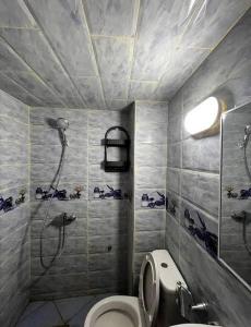 a bathroom with a toilet and a shower at Sahara luxury suites in Hassilabied
