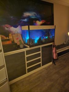 a entertainment center with a large tv and a fish tank at Aragon Demi-Apartment Baldivis in Baldivis