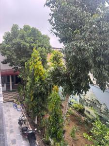 um grupo de árvores em frente a um edifício em Hari Dham em Vrindāvan