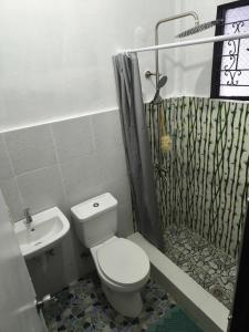 a bathroom with a toilet and a shower and a sink at Belle Go in Bauang