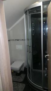 Vonios kambarys apgyvendinimo įstaigoje Apartment Borovnica Rogla