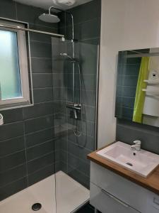 ein Badezimmer mit Dusche und Waschbecken in der Unterkunft Gîte de La Potinais in Bains-sur-Oust