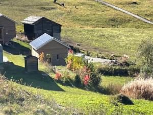 a hillside with houses and flowers in a field at Tiny Barrhorn in Grächen
