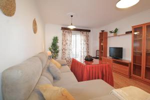 Una sala de estar con un sofá y un televisor. en Apartamento Tenerías Gruta by SIERRA VIVA, en Aracena