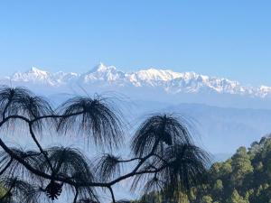 Příroda nedaleko rezortu