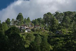 a group of houses on a hill in the forest at Friendship Lane in Sater
