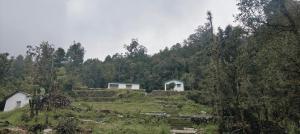 two white buildings on a hill in a forest at Top hill home stay in Sāma