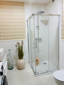 a glass shower in a bathroom with a vase at Apartament Kaszmirowy in Grudziądz