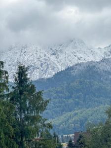 a snow covered mountain in the distance with a tree at Apartment Butorowy Residence by Renters Prestige in Kościelisko +25 photos