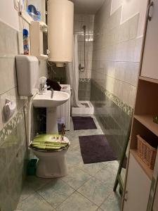 un bagno con wc, lavandino e doccia di Kemencés Vendégház a Becskeháza