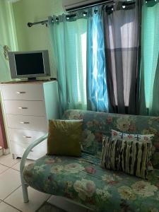 TV a/nebo společenská místnost v ubytování Green gem in Paradise Fl-Key