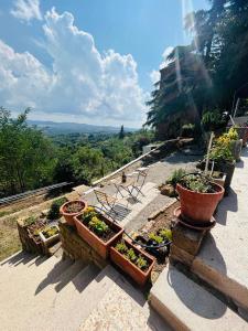 a group of potted plants sitting on a roof at Casa Pascucci in Manciano