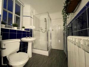 a bathroom with a toilet and a shower and a sink at Cosy Cottage Ambleside in Ambleside