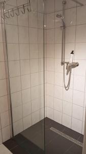 a shower with a glass door in a bathroom at Apartment Hof Schwalbennest in Kaarßen
