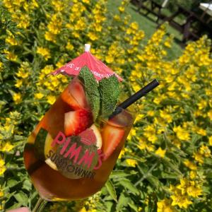 Ảnh trong thư viện ảnh của The Boyne Arms ở Burwarton +23 ảnh