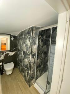 Un baño con inodoro y ducha de cristal. en Hotel Flaminia Rooms, en Roma