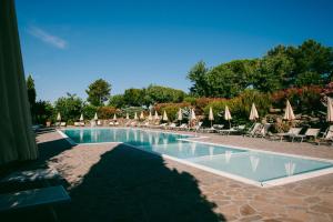 a swimming pool with lounge chairs and umbrellas at Fattoria degli Usignoli in San Donato in Fronzano