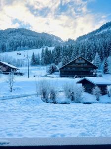 un champ couvert de neige avec des bâtiments et des arbres dans l'établissement Appartement au pied des pistes, à Châtel